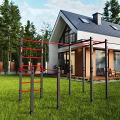 Calisthenics Station With Monkey Bars