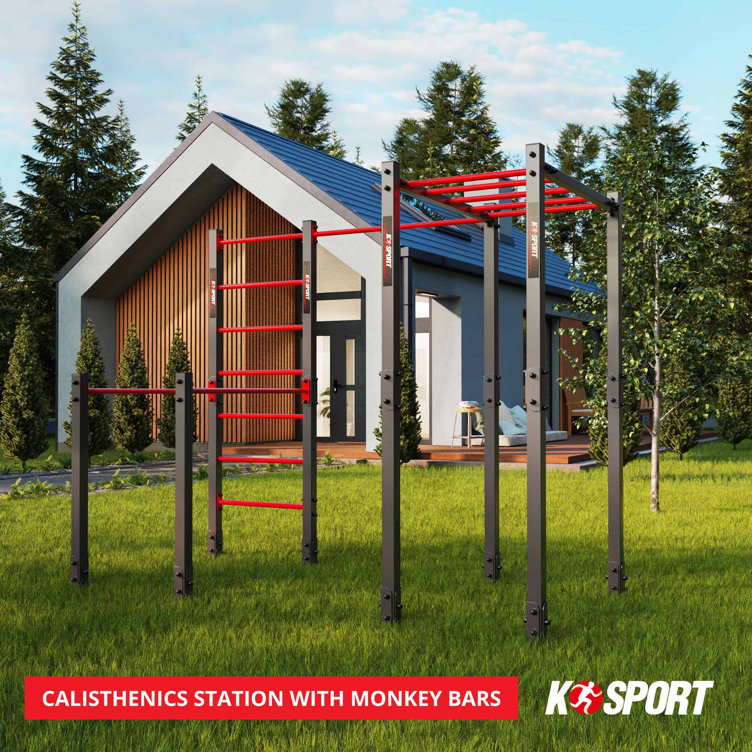 Complete outdoor calisthenics station with monkey bars and ladder in backyard – K-Sport fitness system