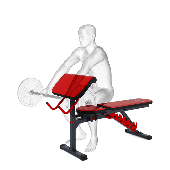 Exercises with Curlpult for Weight Bench with Bar Catch