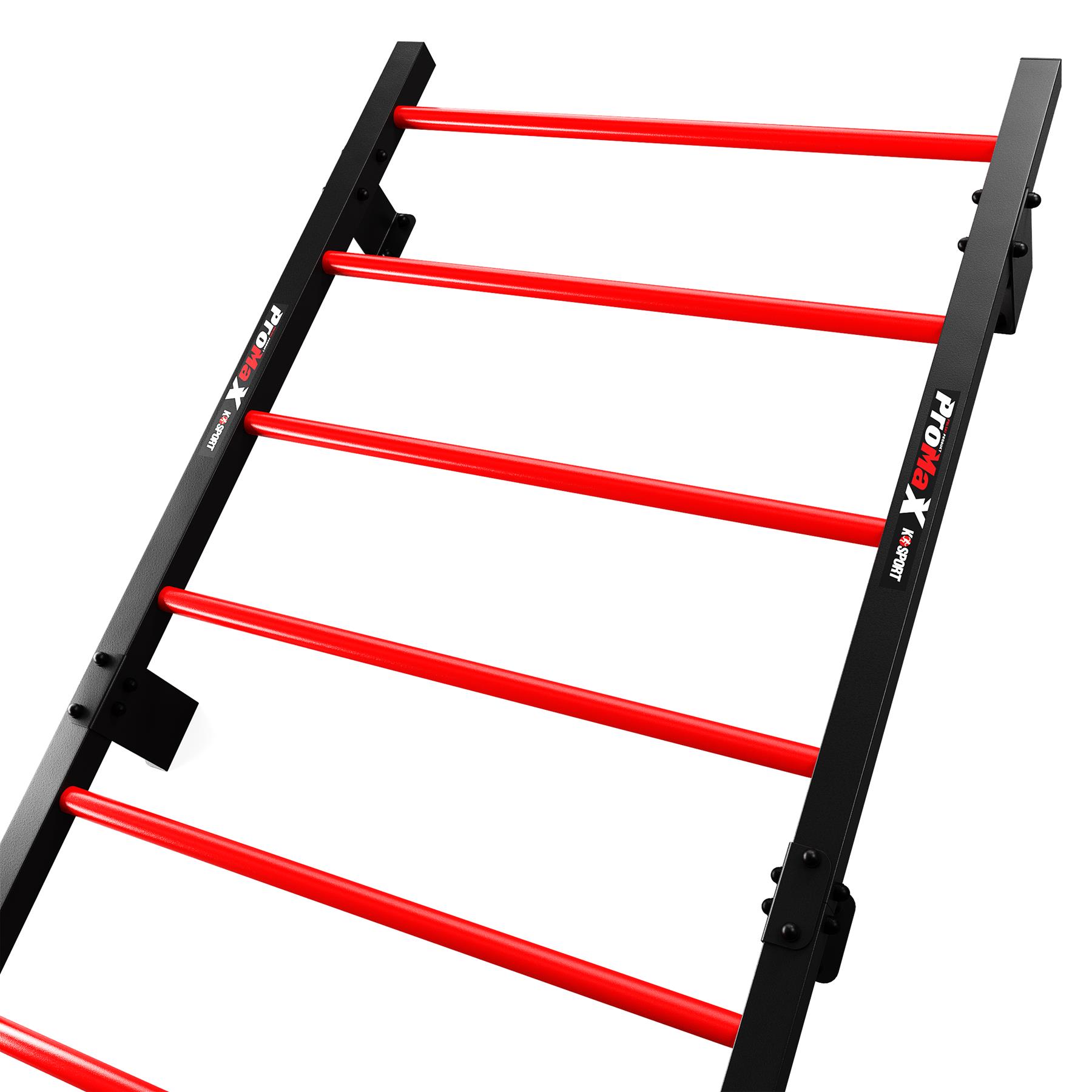 Angled overhead shot of the black steel stall bar with red rungs, highlighting its adjustable wall-mount design