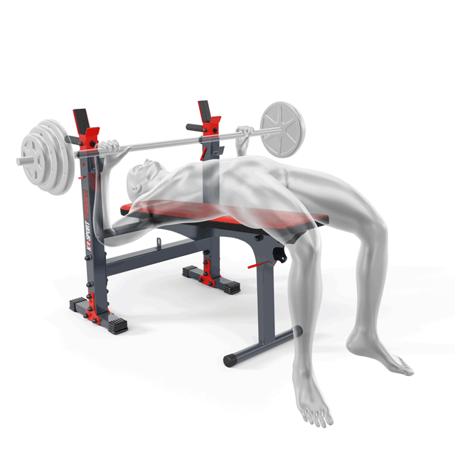 Folding Weight Bench with Dip Station KSport UK