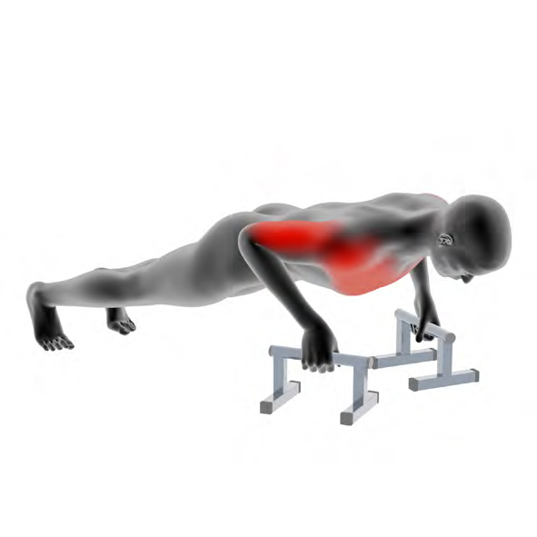 Dummy on the pull-up bar - Wide Grip Pull-Ups on the Bar