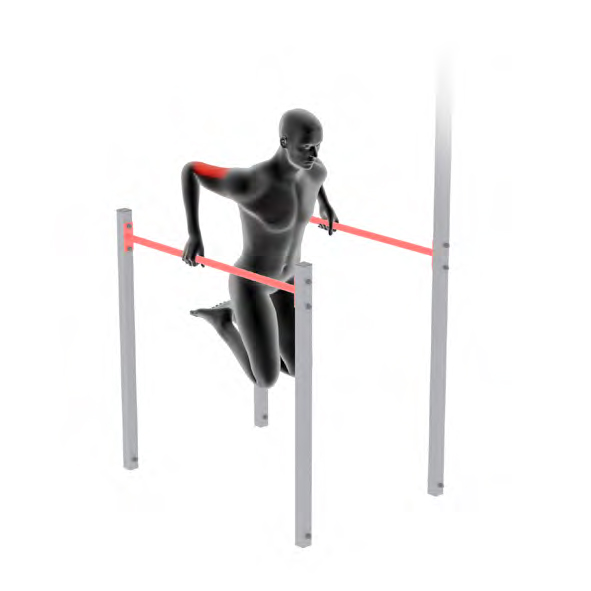 Dummy on Parallel Bars - Dips