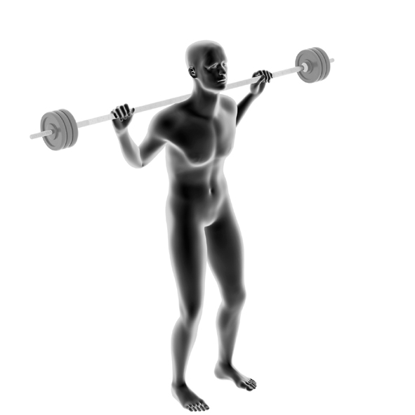 Dummy on Barbell - Classic Squats