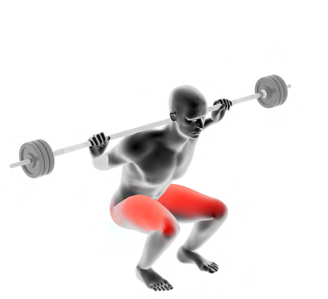 Dummy on Barbell - Classic Squats