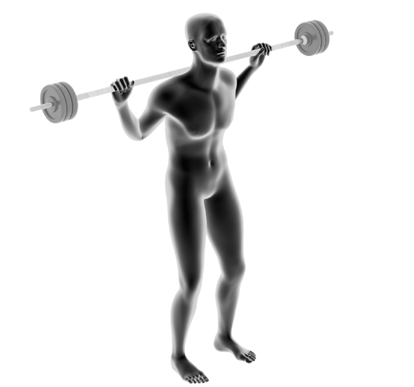 Dummy with Barbell - Lunges with Barbell