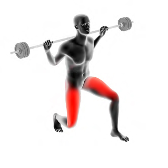 Dummy with Barbell - Lunges with Barbell