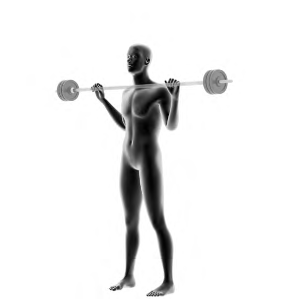 Dummy on Barbell - Shoulder Press