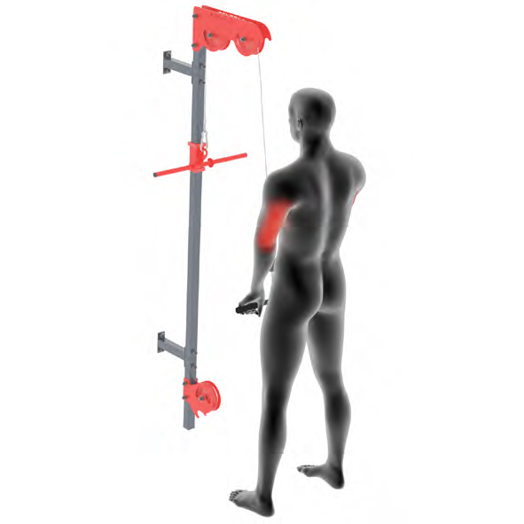 Dummy at Cable Machine - Classic Tricep Press