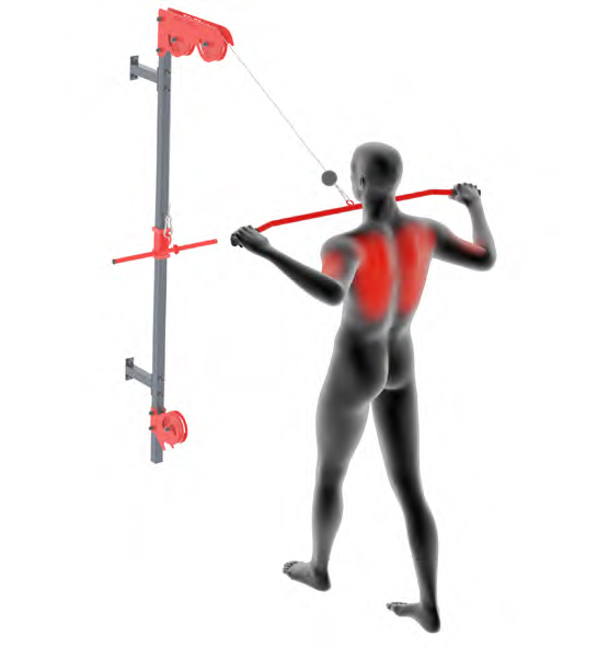 Dummy at the Cable Row - Standing Cable Row