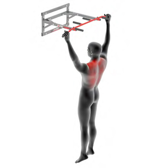 Dummy on Pull-Up Bar - Scapular Pull-Up