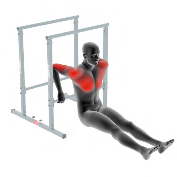 Dummy on Parallel Bars - Arnold Dips
