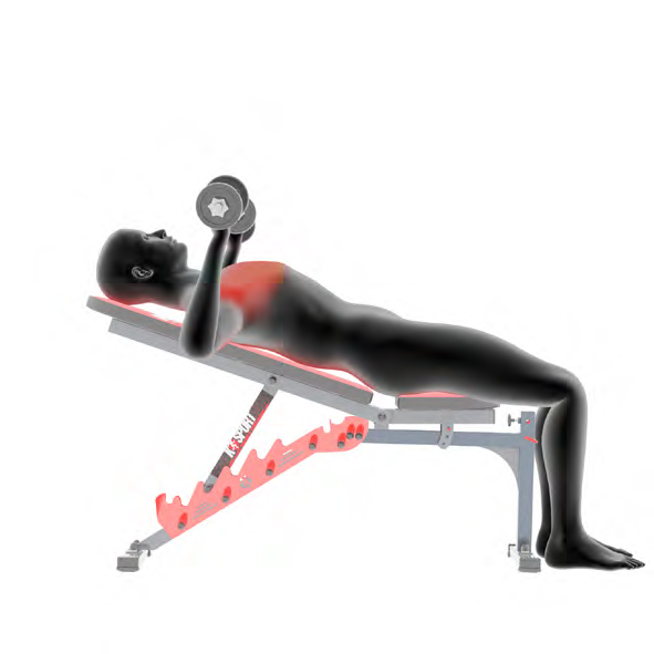 Dummy on Training Bench - Incline Bench Press with Dumbbells