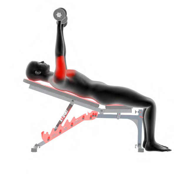 Dummy on Training Bench - Incline Bench Press with Dumbbells