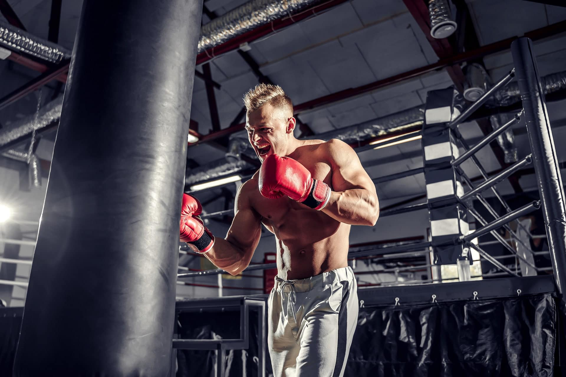 BOXING TRAINING - NOT JUST GOOD FOR BOXERS